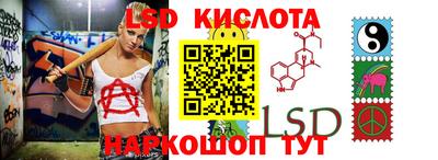 прущие грибы Ирбит