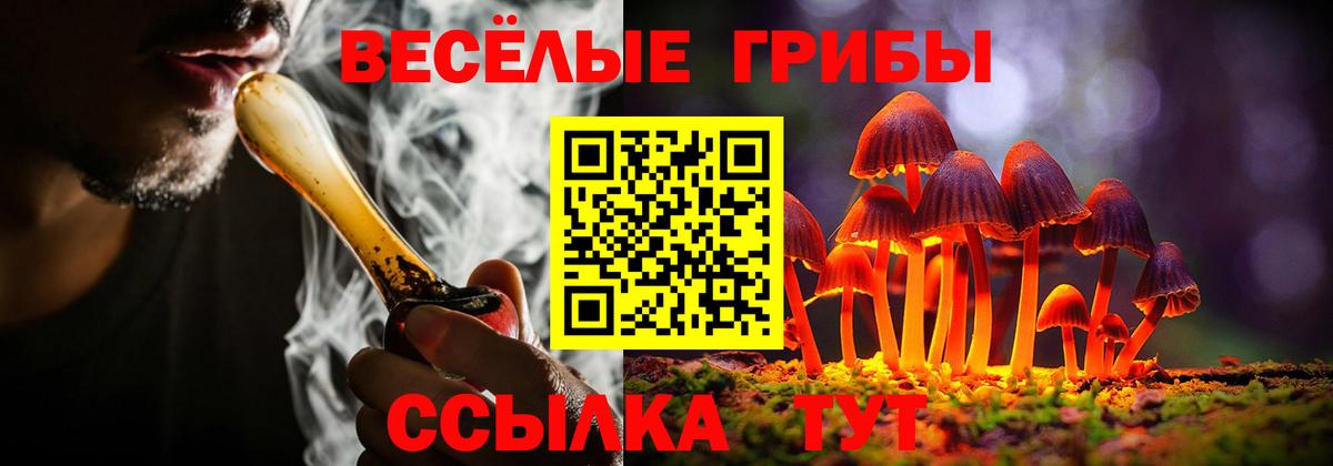 Псилоцибиновые грибы ЛСД Майский